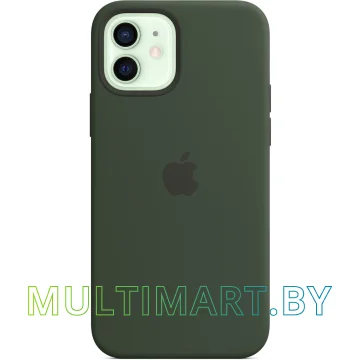 Чехол для телефона Apple MagSafe Silicone Case для iPhone 12/12 Pro (кипрский зеленый)